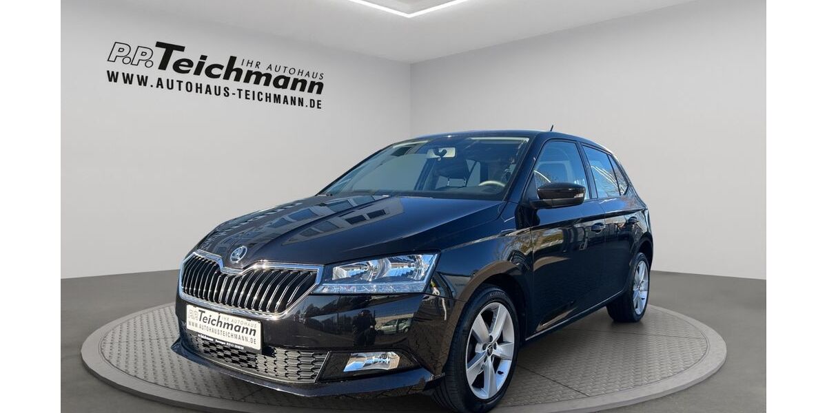 Skoda Fabia 42.109 km 9.900 &euro; Dormagen 41540