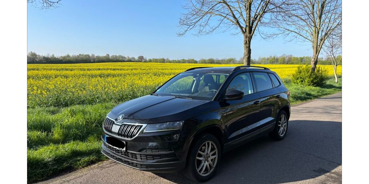 Skoda Karoq 129.817 km 15.490 &euro; Düren 52355