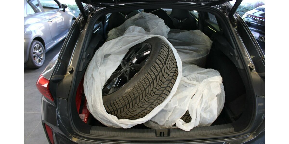 Cupra Terramar 2.0 TSI 4Drive DSG VZ 9.998 km 38.980 &euro; Euskirchen 53881