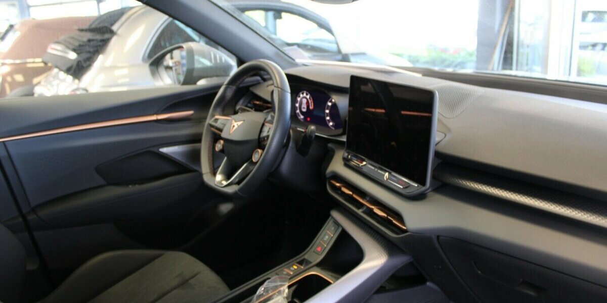 Cupra Terramar 2.0 TSI 4Drive DSG VZ 9.998 km 38.980 &euro; Euskirchen 53881