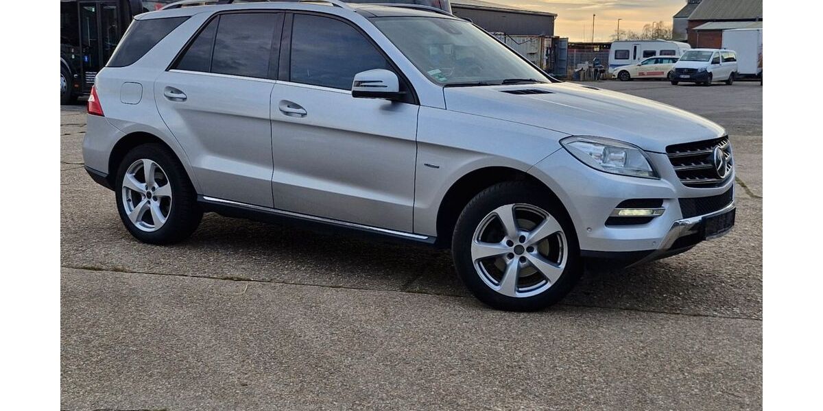 Mercedes-Benz ML 250 284.339 km 9.700 &euro; Titz 52445