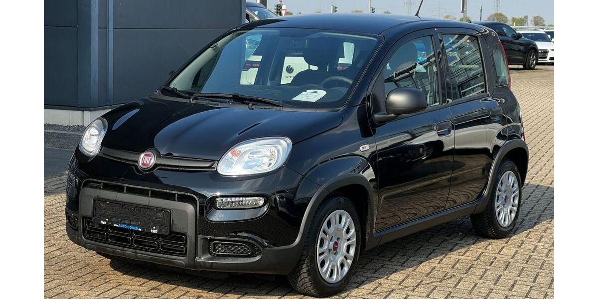 Fiat Panda 4.500 km 11.590 &euro; Düren 52351