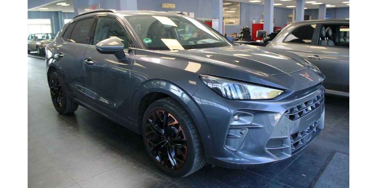 Cupra Terramar 9.998 km 38.980 &euro; Euskirchen 53881