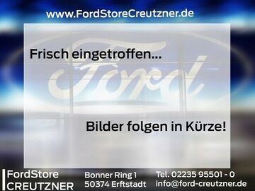 Gebrauchte Ford Tourneo Custom