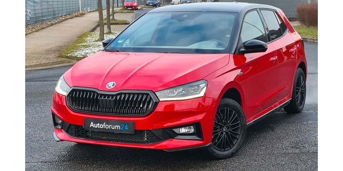 Skoda Fabia 14.500 km 13.899 &euro; Jülich 52428