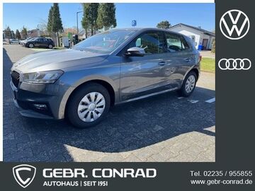 Gebrauchte Skoda Fabia